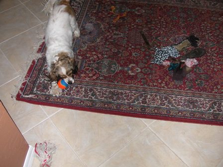 Has  the rope bone