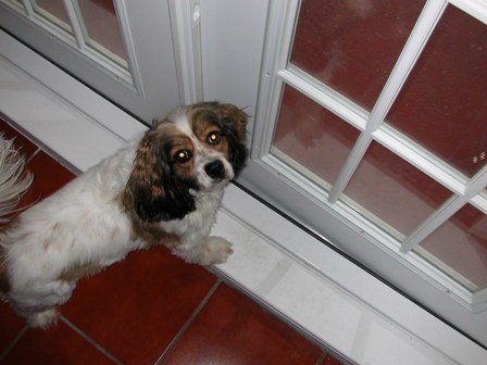 Wanting to go out